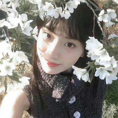 灵书妙探第三季